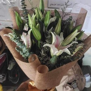 5 stems stargazer php1500