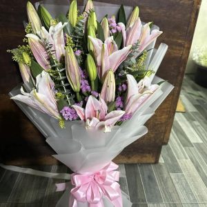 stargazer 5 stems php1,700