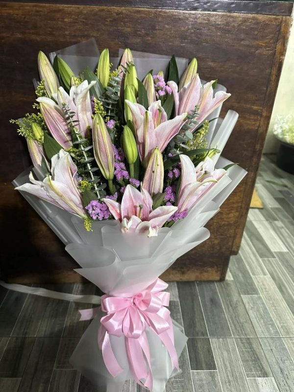 stargazer 5 stems php1,700