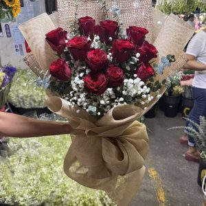 12 pcs Ecuador