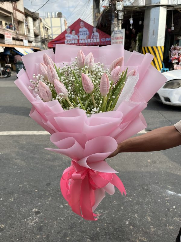 12 pcs Tulips