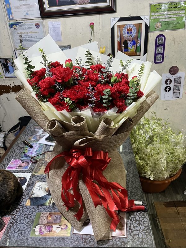 50pcs Carnation