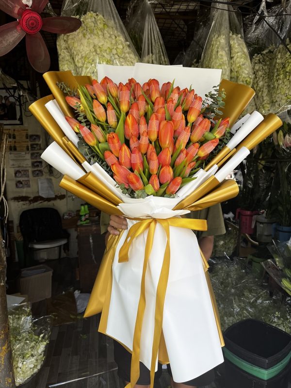 80 pcs Tulips
