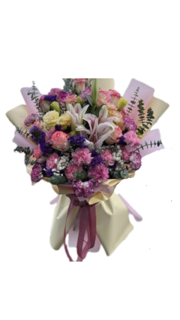 Stargazer, Carnation and Sunlight