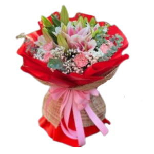 Stargazer and Carnation