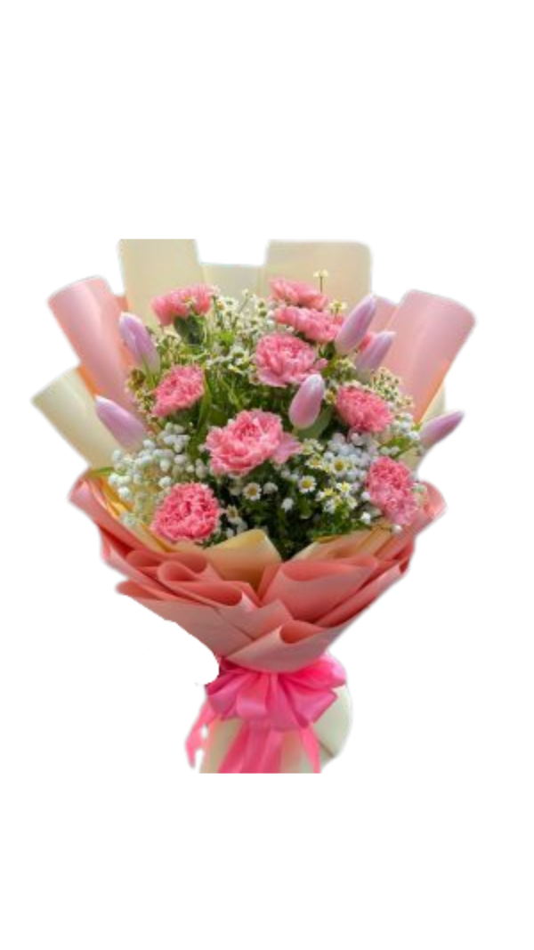 Tulips with Carnation