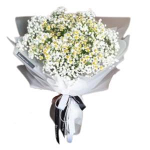 Gypsophilia