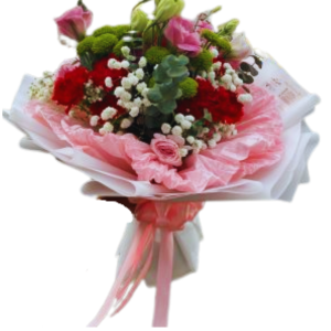 Green and Red with Carnation