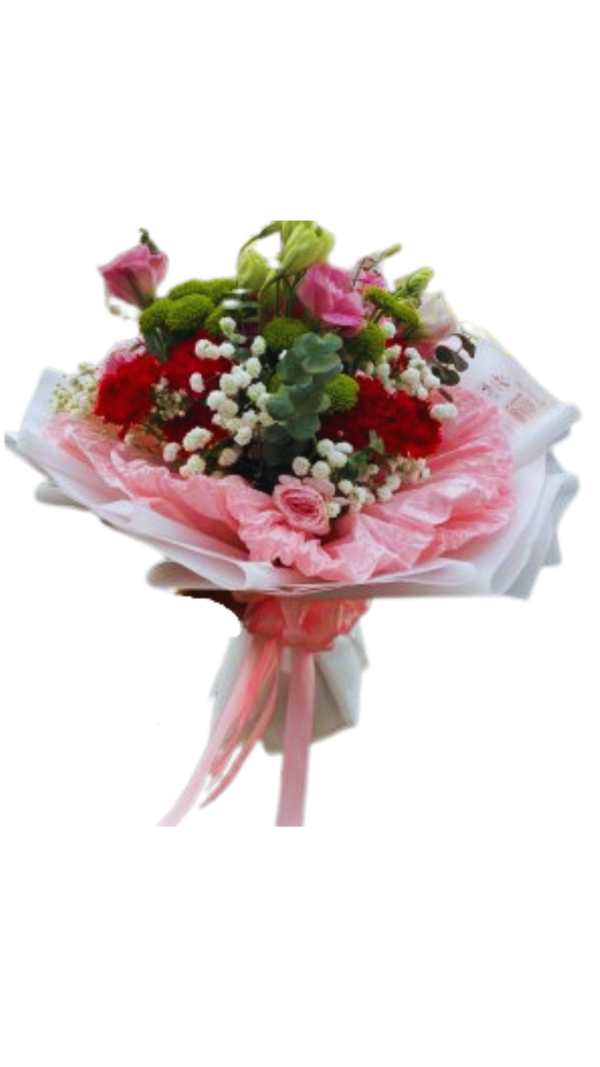 Green and Red with Carnation