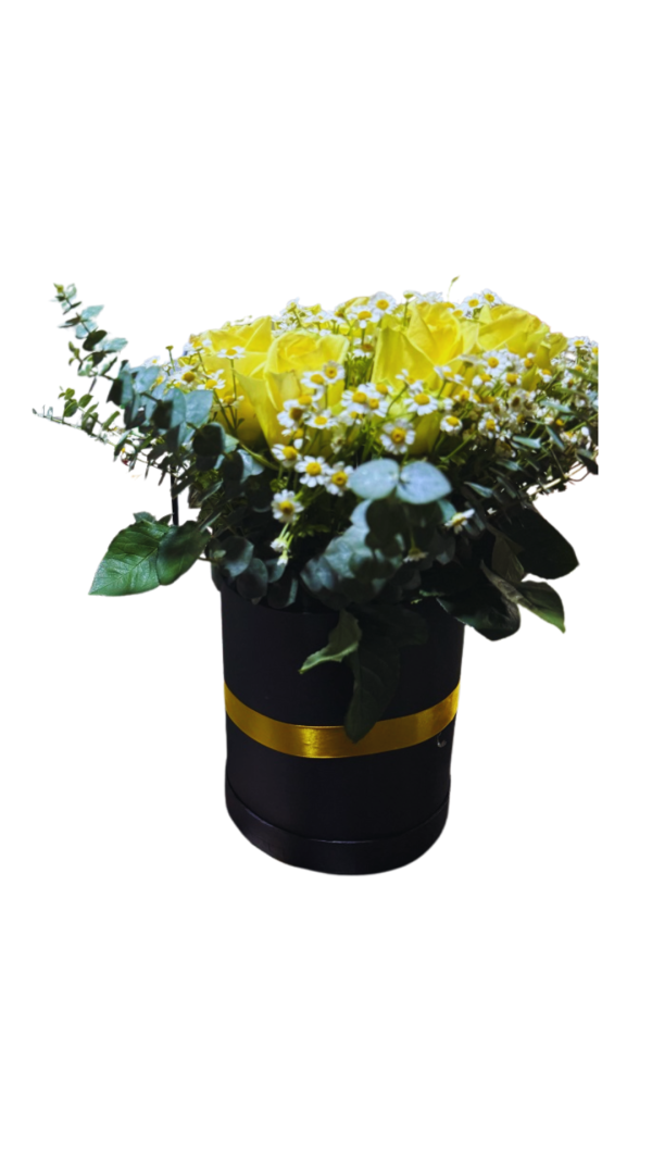 China roses with Chamomile in a box