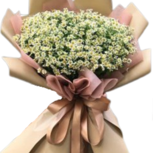 Chamomile