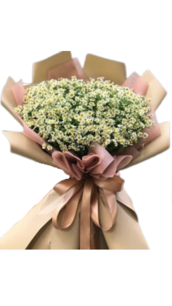 Chamomile