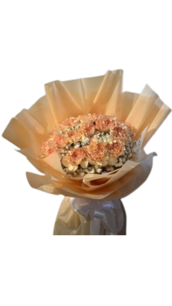 Carnation