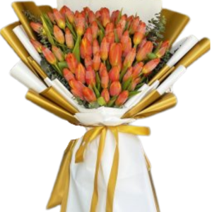 80 pcs Tulips