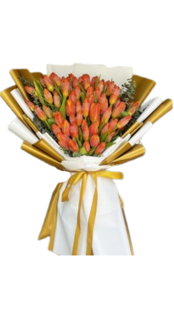 80 pcs Tulips