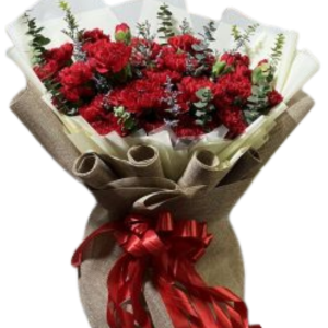 50pcs Carnation