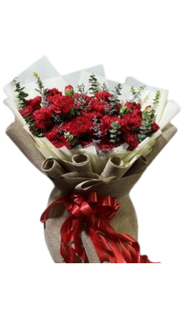 50pcs Carnation