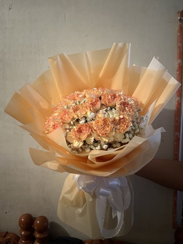 Carnation