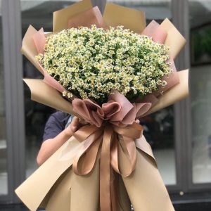 Chamomile