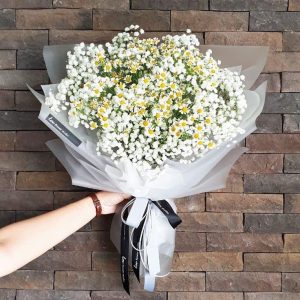 Gypsophilia