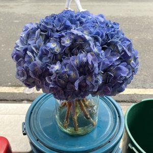 Hydrangea in a vase