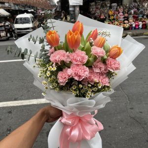 Tulips encarnation
